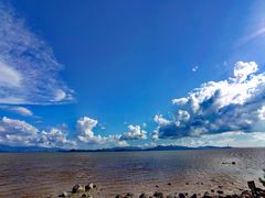 -深圳湾公园(南山区)
