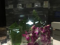 -贵阳万丽酒店