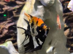 -石林冰雪海洋世界