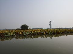 -白洋淀景区
