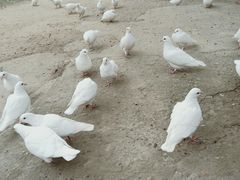 -石燕湖生态旅游景区