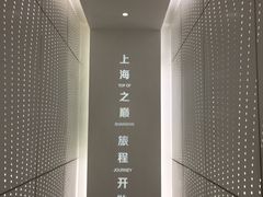 -上海中心大厦