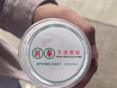 -洪馨椰子