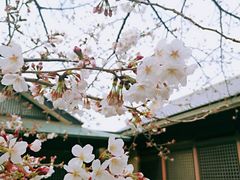 -名古屋城