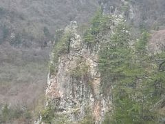 -牛背梁国家森林公园