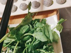 -蜀九香火锅(彩虹店)