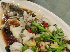 -龙悦湾酒家·八阵鱼生·渔人码头店