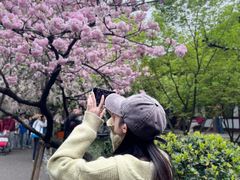 -西安青龙寺遗址景区