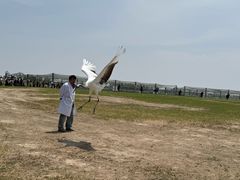 -盐城丹顶鹤湿地生态旅游区