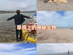 -青海湖国家重点风景名胜区