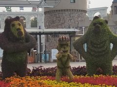 -石家庄极地海洋世界