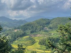 -紫鹊界梯田景区