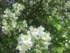-木兰围场