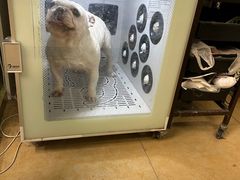 -沐沐家宠物(成寿寺店)