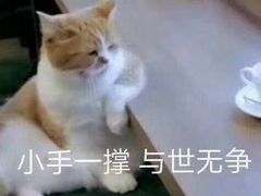 -50岚(太平洋森活天地店)
