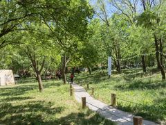 -千佛山风景名胜区