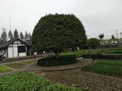 -张闻天故居
