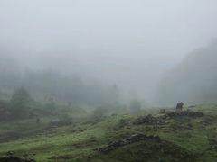 -硗碛藏寨·神木垒景区