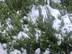 -庄河步云山羊汤(椒房店)