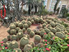 -石家庄市植物园