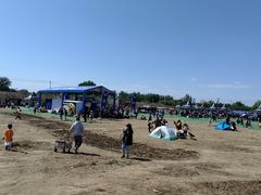 -上林马术中央公园·户外露营·团建·骑乘