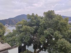 -蒋氏故居