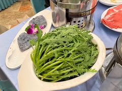 -友谊肥牛