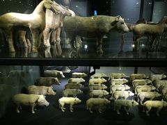 -秦始皇帝陵博物院(兵马俑)
