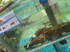 水产区-渔码头食府·20年蓬莱老字号(登州路店)