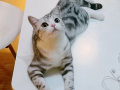 -comecome来吧宠物(奥克斯中心店)