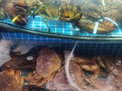 -望海潮海鲜店 特色家常菜(在海一方店)
