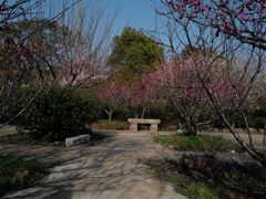 -雨花胜境