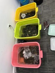 -邵老师打金·黄金加工(大望路总店)