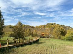 -塞罕坝国家级自然保护区