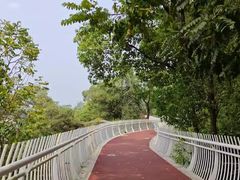 -金鸡山公园