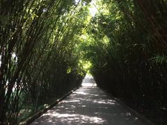 -四川大学(望江校区)