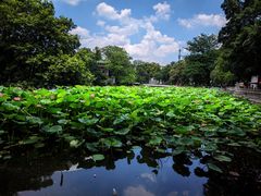 -荔湾湖公园