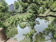 -上海醉白池公园