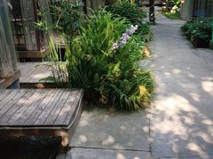-醉月城西昌火盆烧烤(天府店)