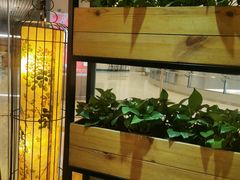 大堂-潮堂(环球金融中心店)