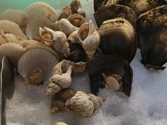 -339旋转餐厅(天府熊猫塔店)
