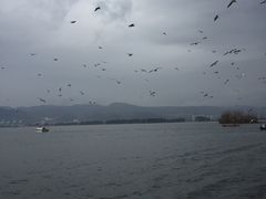 -呈贡滇池生态湿地公园