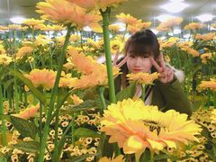 -天津梵高星空艺术馆(天河城旗舰店)