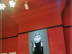 -猫色咖啡·猫咖