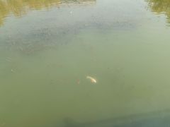 -廊坊文化艺术中心