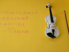 -志龙皇冠吃货椰子铺