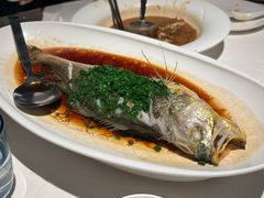 -三利音·玖弄小鲜(浦东嘉里城店)