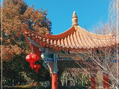 -洛龙公园