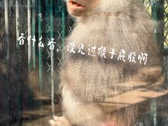 -无锡动物园·太湖欢乐园