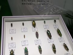 -烟台市博物馆